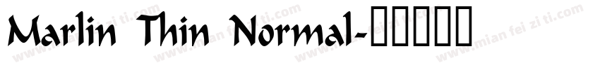 Marlin Thin Normal字体转换
